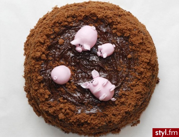 tort - Misz-masz