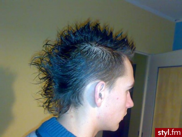 Punk Rock Alternatywne Średnie Fryzury