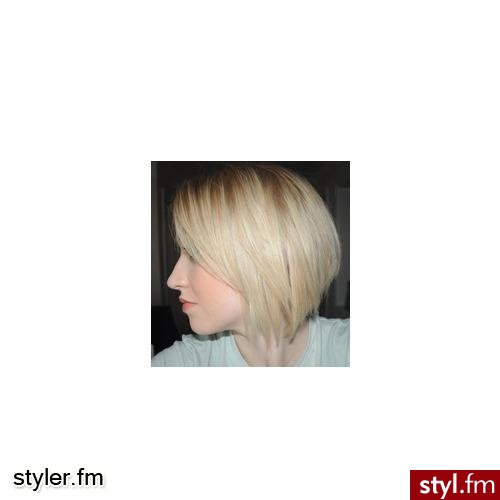 fry - Styler