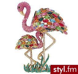 broszka 76.34 GBP - Pozostałe Dodatki Moda