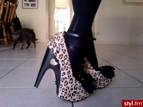 Szpilki Buty Moda