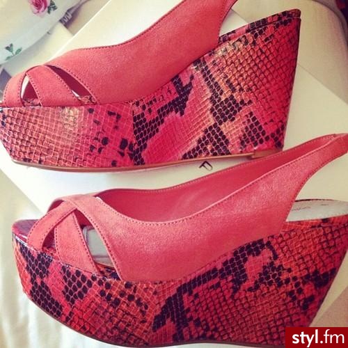 Koturny Buty Moda