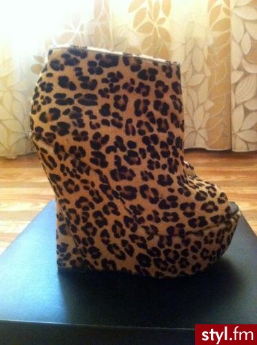 Koturny Buty Moda
