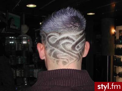 Punk Rock Alternatywne Średnie Fryzury