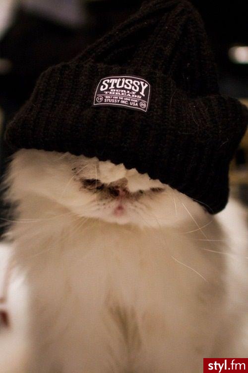 Misz-masz
