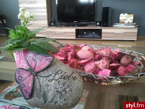 Wnętrza