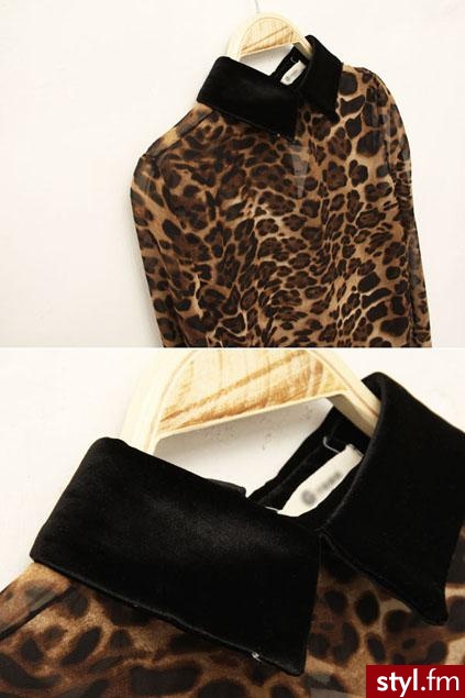 Koszule Ciuchy Moda