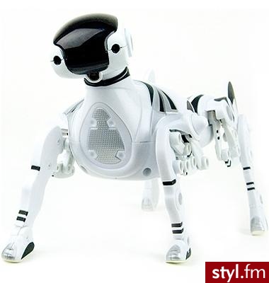 Robopet, czyli najlepszy przyjaciel człowieka to robot pies. Wyposażony jest w czujniki dźwięku, dotyku i podczerwieni przez co reaguje na otoczenie, oraz omija przeszkody. Uwaga, bardzo łatwo się do niego przyzwyczaić! - Gadżety Inne Moda