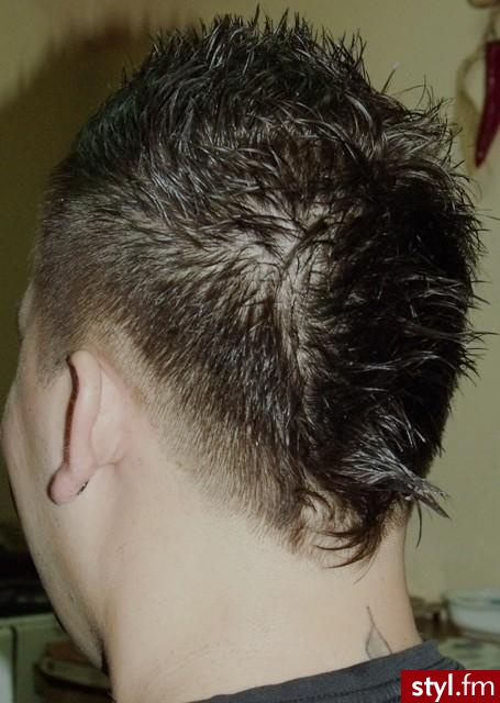 Punk Rock Alternatywne Średnie Fryzury