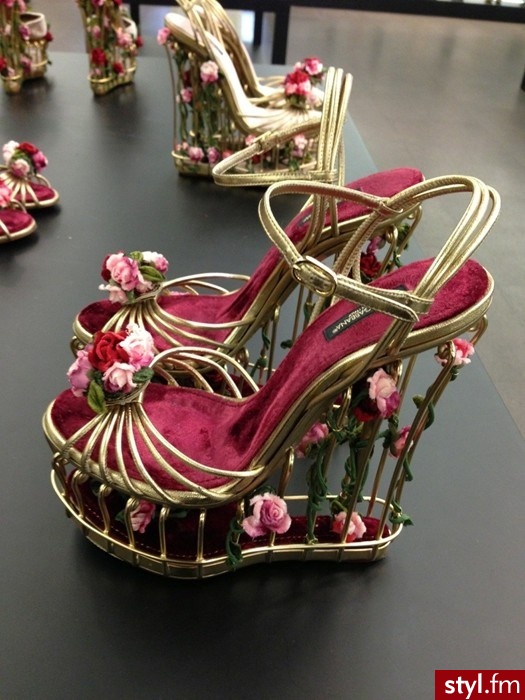 Koturny Buty Moda
