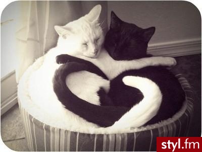 love :P - Misz-masz