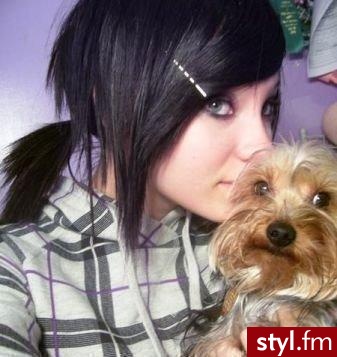 emo. z yorkie - EMO Alternatywne Średnie Fryzury