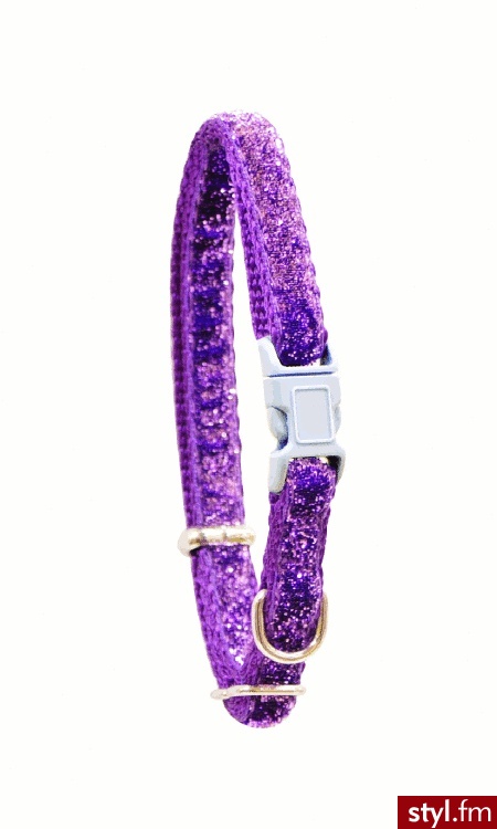 Arppe OBROŻA NYLON GLITTER FIOLETOWA (4056 01 10 47) - Psy Zwierzaki