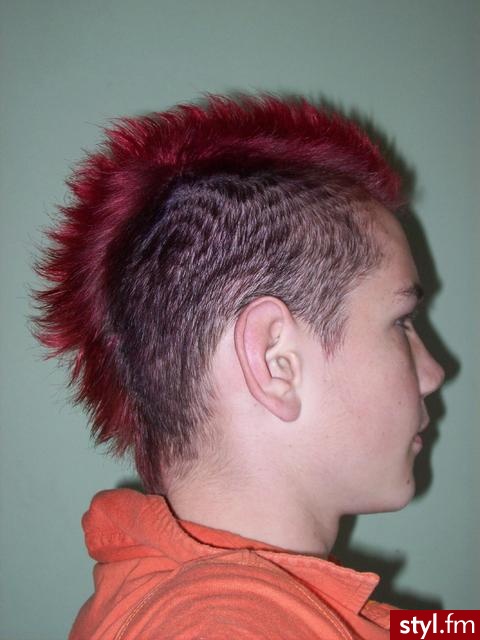 Punk Rock Alternatywne Średnie Fryzury