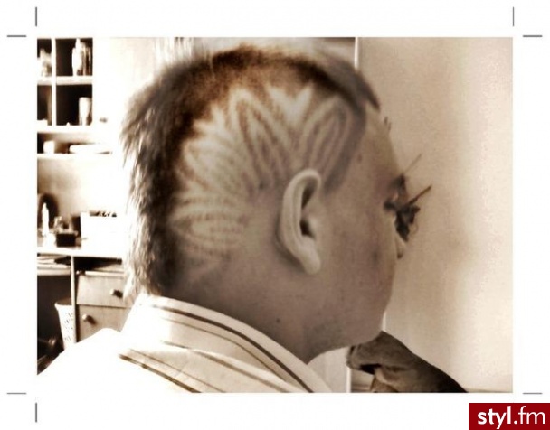 Punk Rock Alternatywne Średnie Fryzury