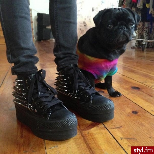 Trampki Buty Moda