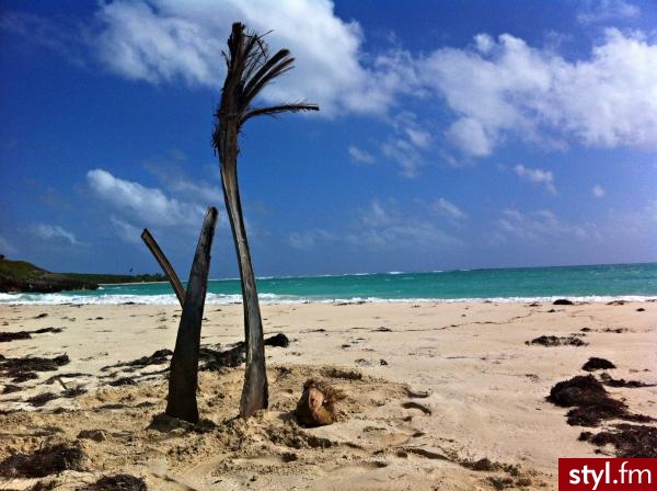 Vieques - Puerto Rico - Podróże i miejsca