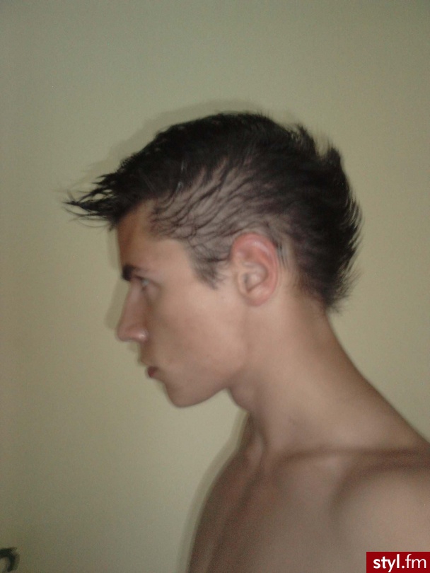 Punk Rock Alternatywne Średnie Fryzury