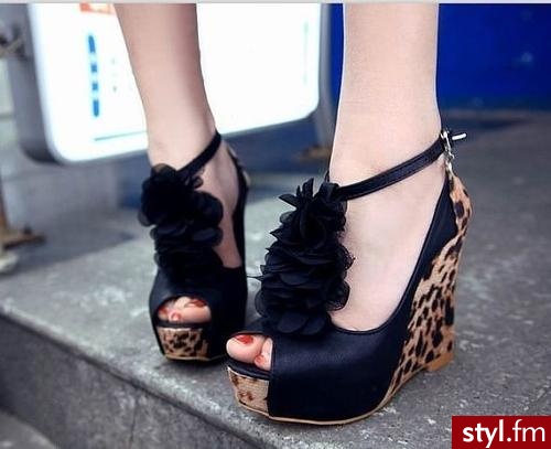 Koturny Buty Moda