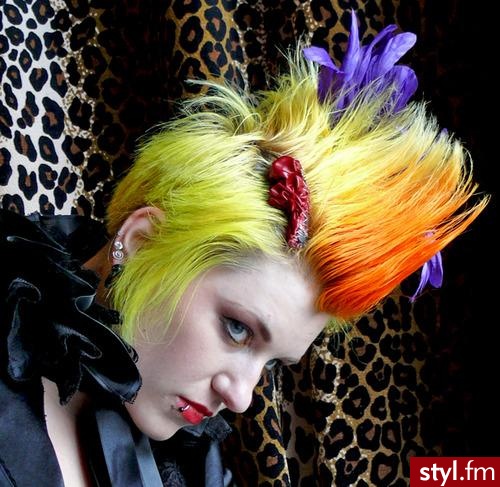 Punk Rock Alternatywne Średnie Fryzury
