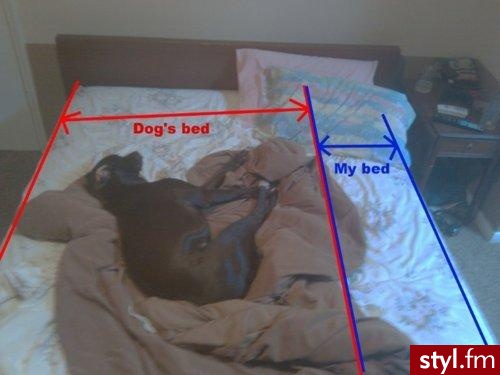 so true.. - Misz-masz