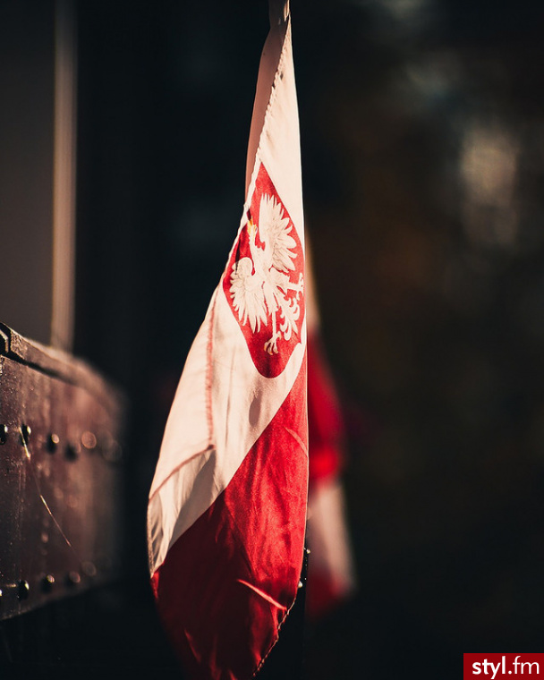 Polskie Państwo Podziemne a ruch oporu w innych krajach.
https://www.viasathistory.pl/news/polskie-panstwo-podziemne - Hobby