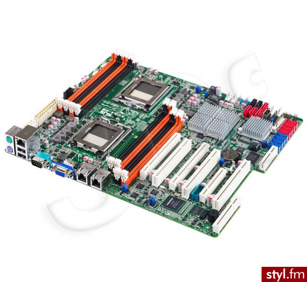 Asus PLYTA KCMA-D8 - Pozostałe Buty Moda