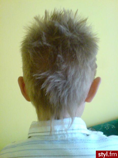 Punk Rock Alternatywne Średnie Fryzury