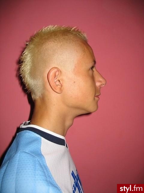 Punk Rock Alternatywne Średnie Fryzury