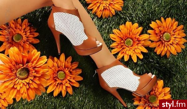 Szpilki Buty Moda