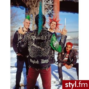Punk Rock Alternatywne Średnie Fryzury
