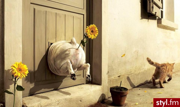 Humor