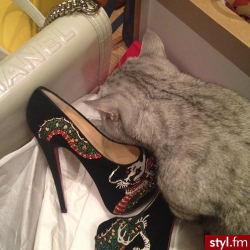 Szpilki Buty Moda