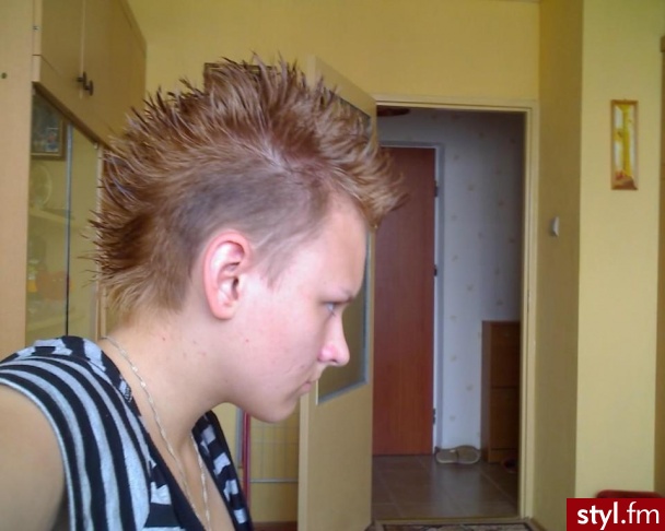 Ja. Moja nowa fryzurka - Irokez damski Proste Na co dzień Średnie Fryzury