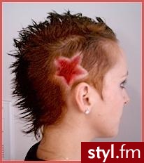 Punk Rock Alternatywne Średnie Fryzury