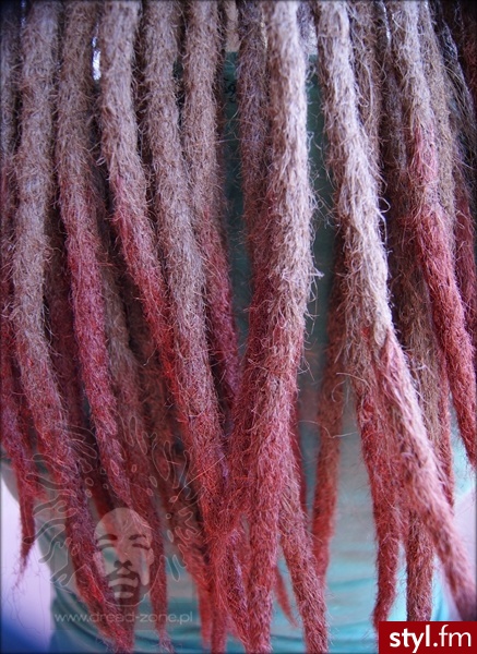 Dreads http://www.dread-zone.pl - Dredy Alternatywne Długie Fryzury