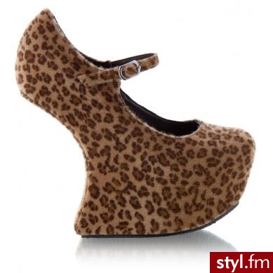 Koturny Buty Moda