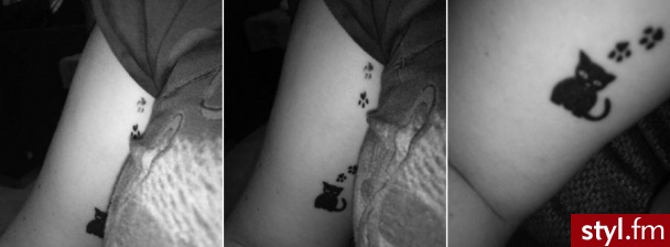 Cat tat. Przyczajone łapy, ukryty kot... - Tatuaże