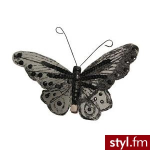 Pozostałe Dodatki Moda