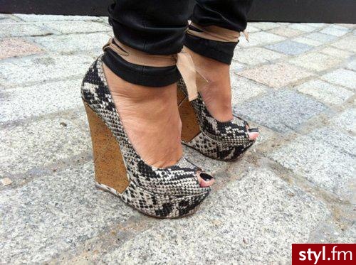 Koturny Buty Moda