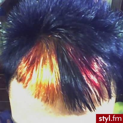 Punk Rock Alternatywne Średnie Fryzury