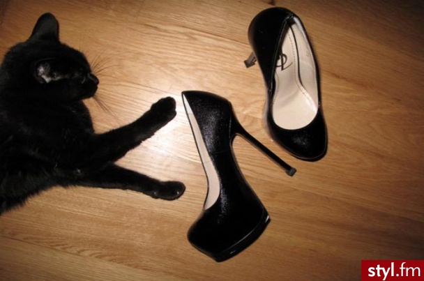 Szpilki Buty Moda
