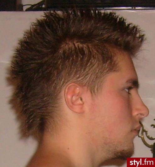 Punk Rock Alternatywne Średnie Fryzury