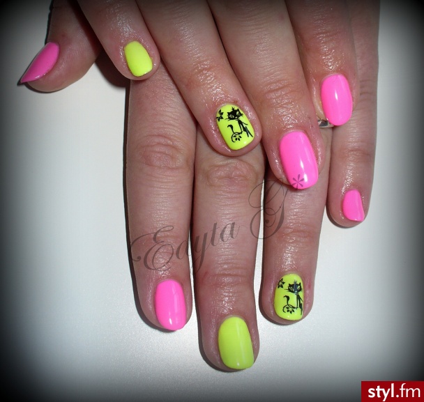Paznokcie