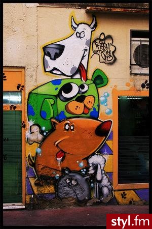 Misz-masz