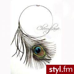 Zdjęcie dodane do bazy zdjęć Stylera - Styler