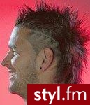 Punk Rock Alternatywne Średnie Fryzury