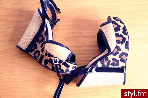 Koturny Buty Moda