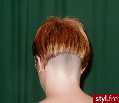 Punk Rock Alternatywne Średnie Fryzury