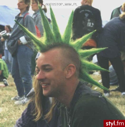 Punk Rock Alternatywne Średnie Fryzury